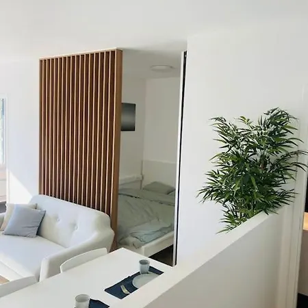 Cozy Studio +